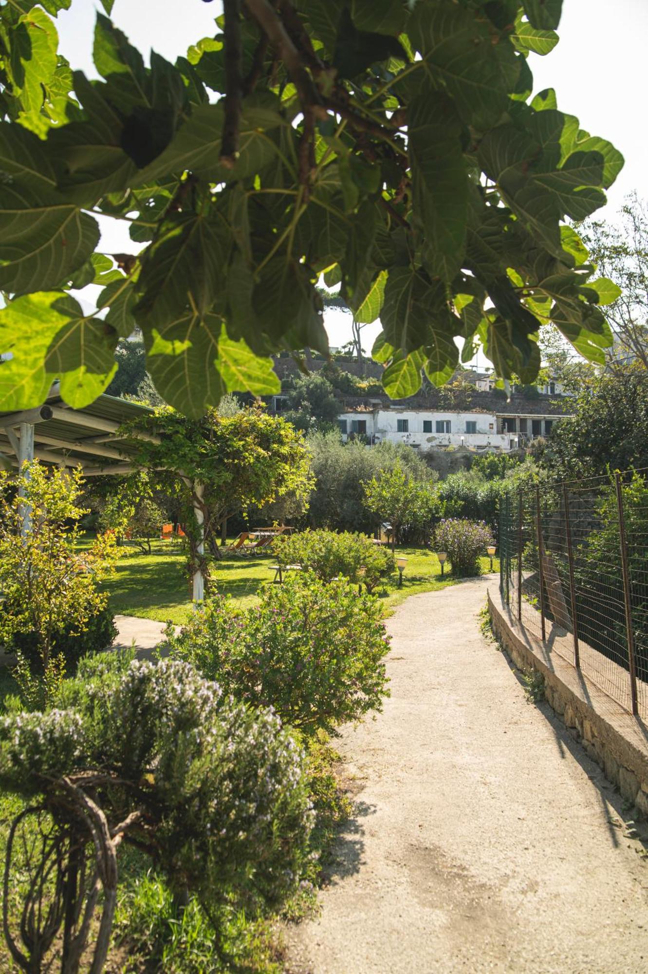 Hotel Park Victoria Forio di Ischia 외부 사진